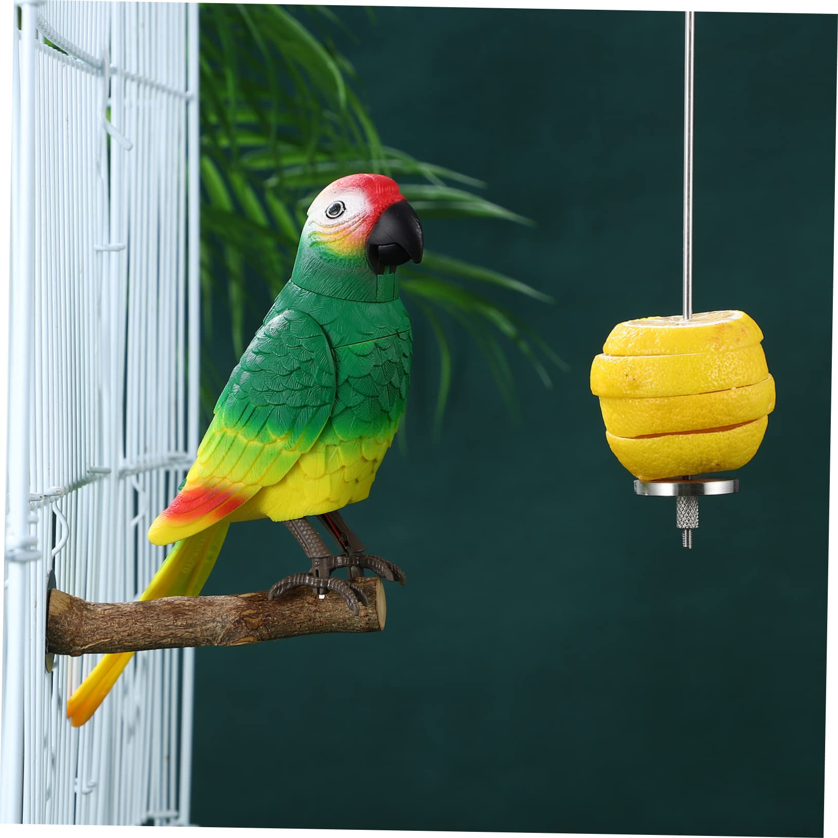 COLLBATH 4stücke Vogelspieße Für Obst Und Futterhalter Für Wellensittiche Papageien Und Kleintiere Für Gesunde Snacks Im Käfig