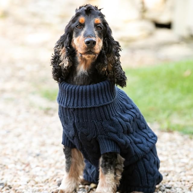 Foto 7 de 8 de HUGO & HUDSON x Hackett Suéter de Punto Trenzado para Perros, suéter cálido de Cuello Alto de Punto