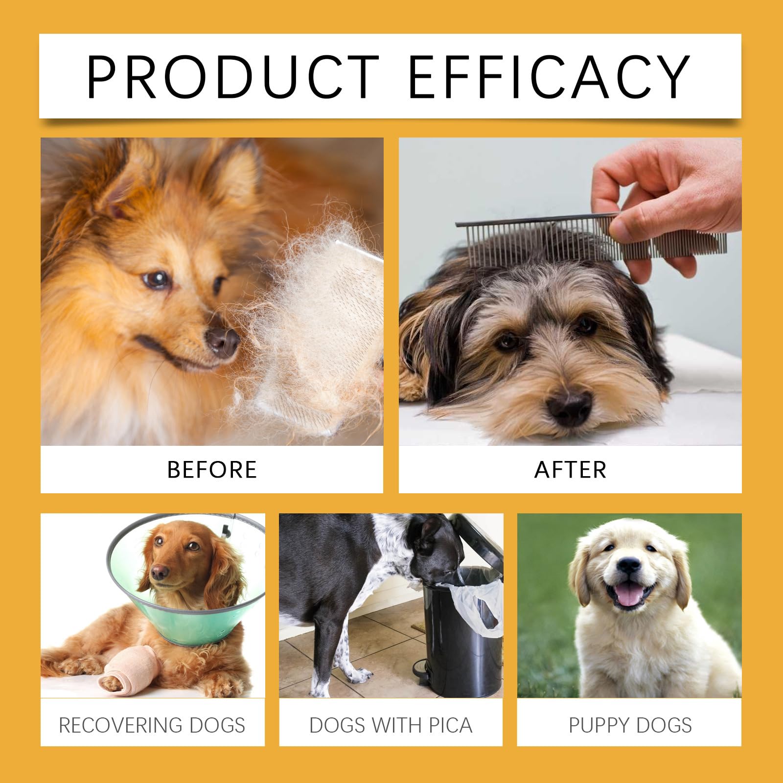 Dog Yeast Infection Treatment, Yeast Infection Treatment for Dog Itchy Skin & Ear Relief, Soothes Allergies & Itching - Image 4