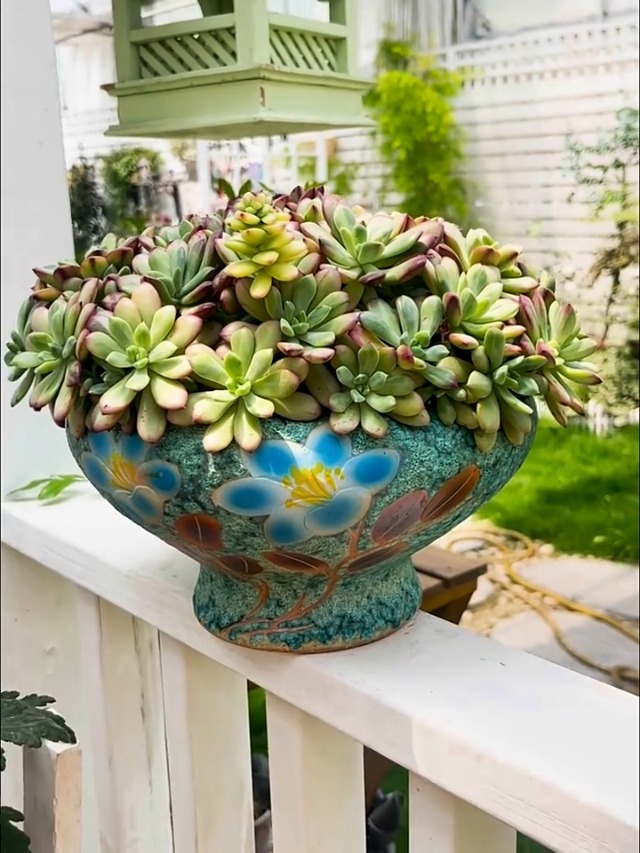 花瓶・フラワースタンド Mid-Century Boxcar Succulent Planters Amazon.com: Sungmor 7.5 Inch Large Succulent Plant Pots, Pretty