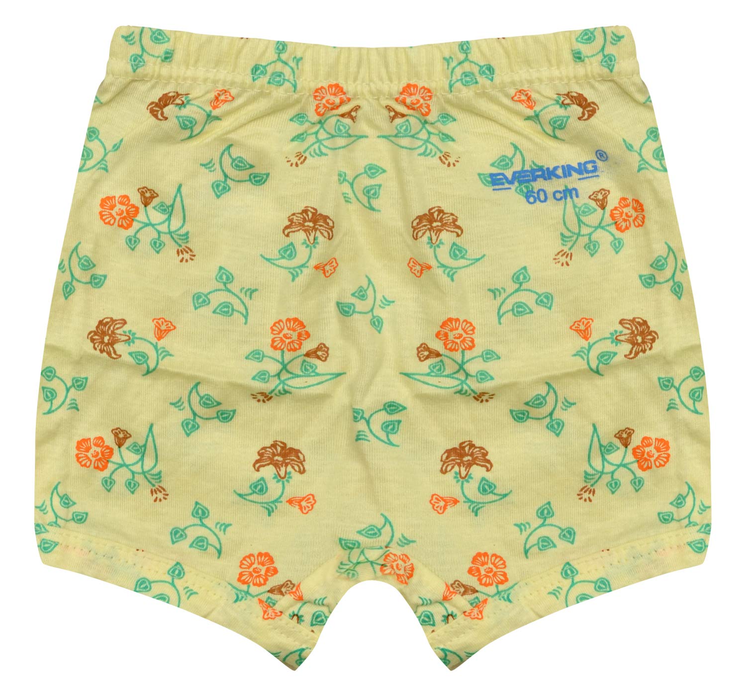 Everking Unisex Child Cotton Briefs (Pack of 12) (EKK-JETY-UMA-IE-12_Multicolour_5 Years-6 Years)