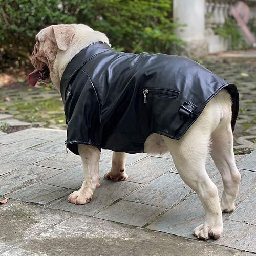 Miniatura 9 de Lovelonglong Chaqueta de cuero fresca para perro, abrigos cálidos para perros, resistentes al viento, abrigos para clima frío para pugs bulldog