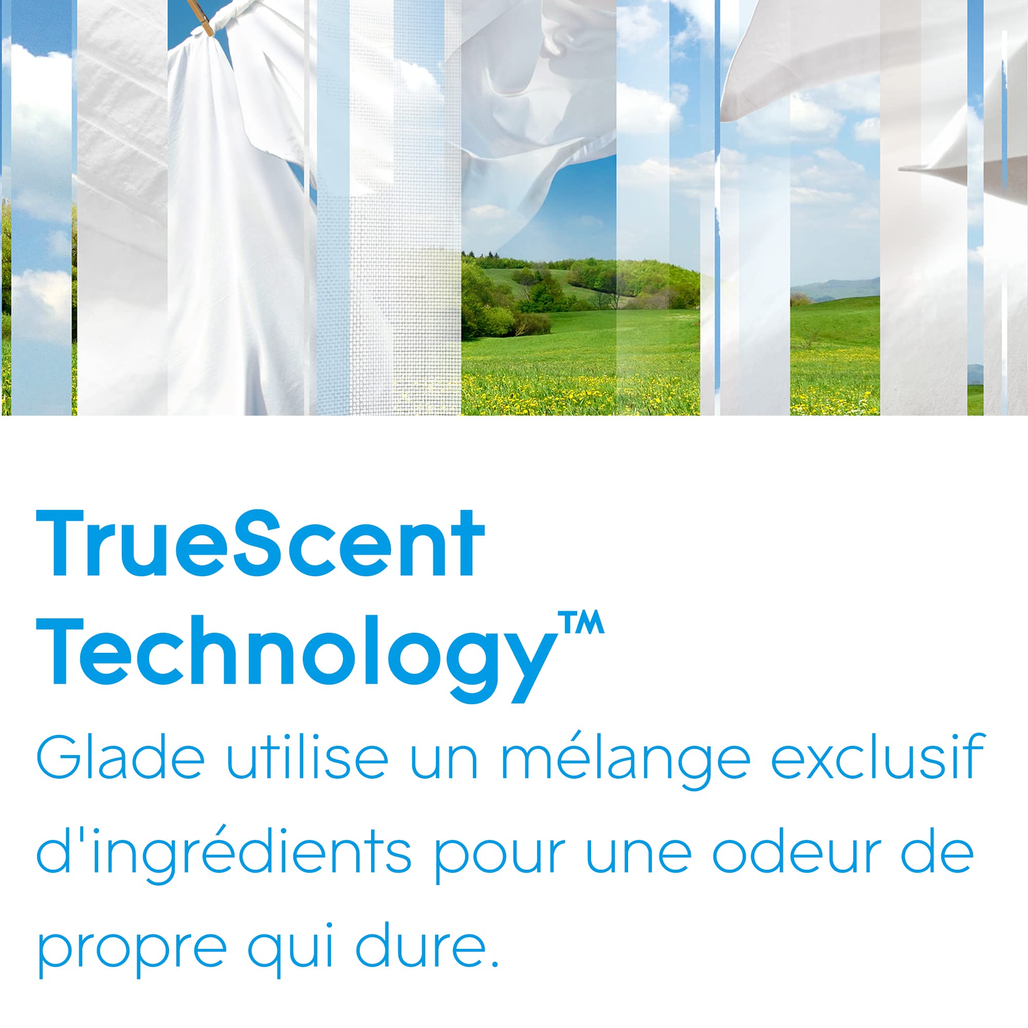 Glade Sense et Spray Recharge Diffuseur à Détection de Mouvement - Infusé Aux Huiles Essentielles - Jusqu'à 2 Mois de Parfum - Pure Clean Linen - 1 Recharge