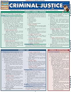 Criminal Justice (Quick Study Academic)