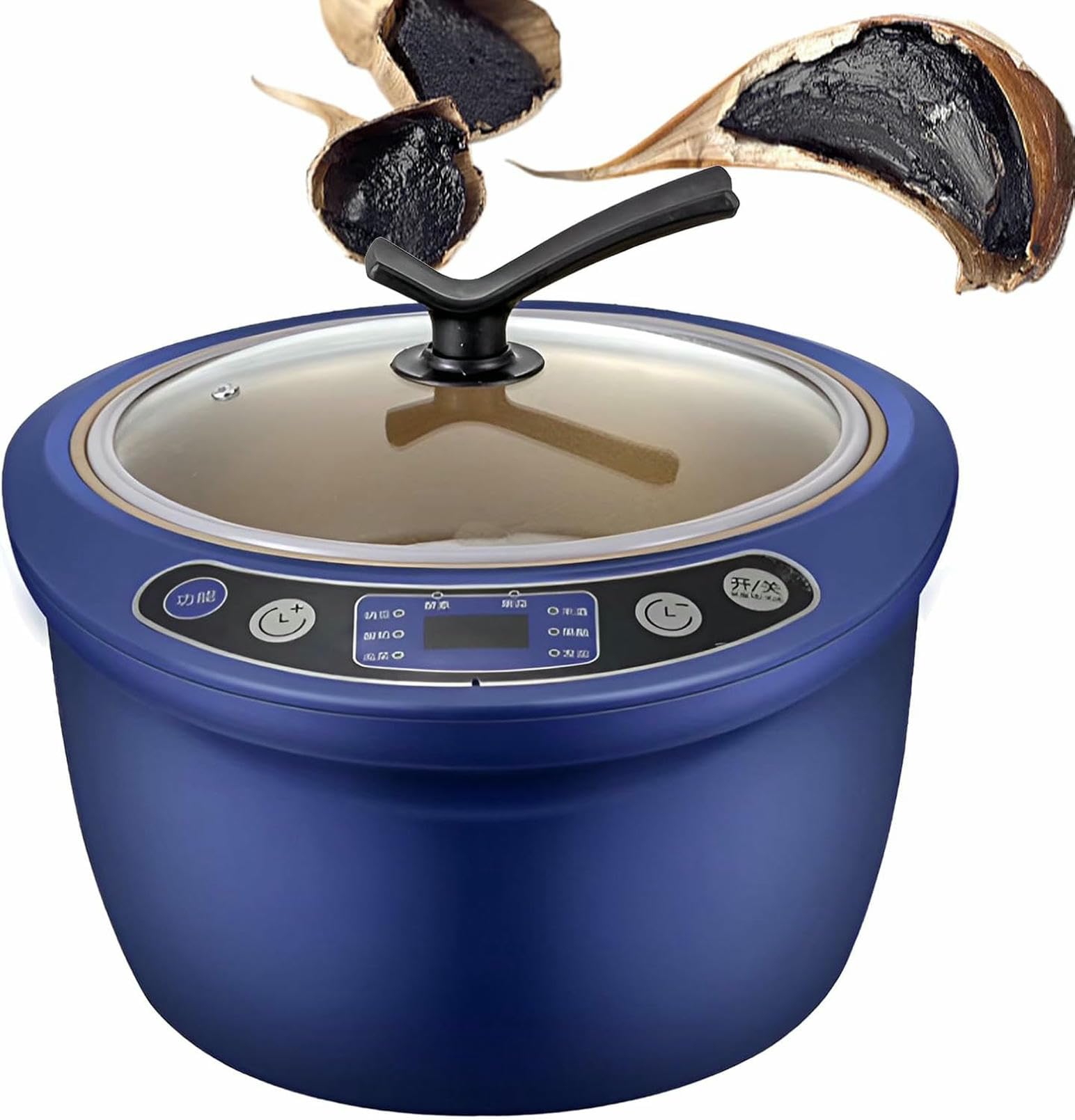 Fermenteur d'ail noir pour une cuisine à domicile saine