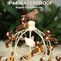 Vista 4 de KAiSnova Luz de Cadena de Perro Salchicha 3.05m 30 LEDs Luz de Navidad de Perro Salchicha con Control Remoto y Temporizador Luz de Perro Salchicha