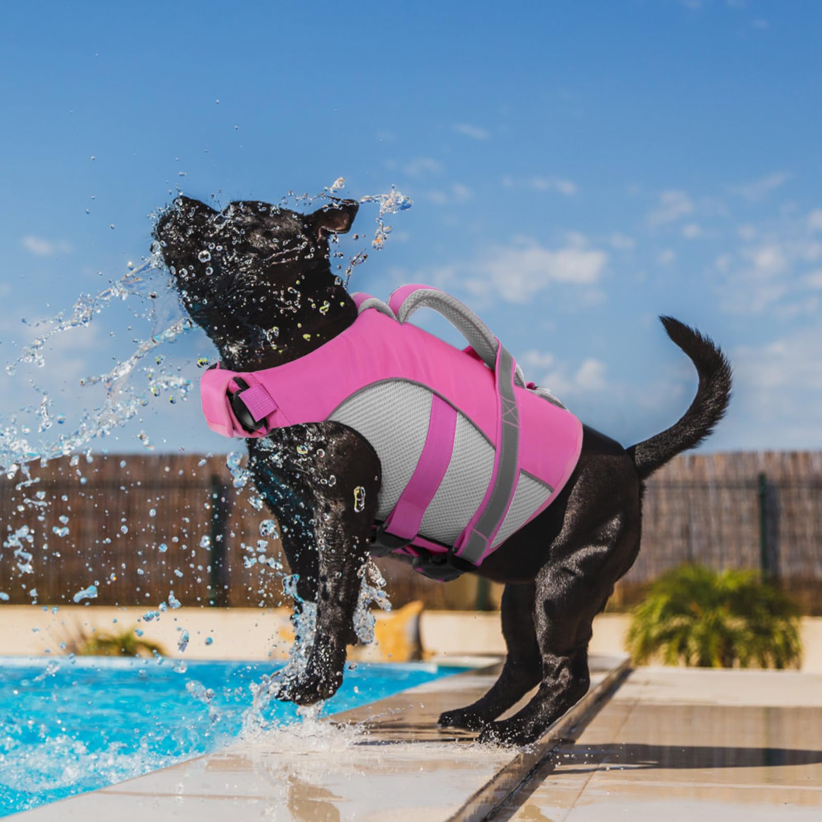 Queenmore Schwimmweste Hund Mittel Leichtes Gewicht Hunde Schwimmweste Mit Rettungsgriff Rettungswesten Für Hunde Für Dackel, Französische Bulldogge,Pug,Jack Russell,Greyhound,Schnauzer, Rosa, M