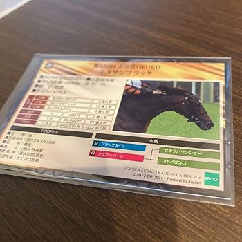 キタサンブラック サイン入りカード 2025年最新】ウマ娘ケンタッキーキタサンブラックサイン入りの