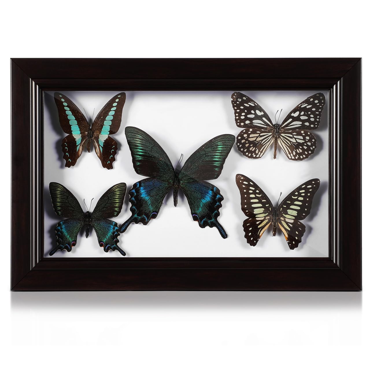 Décoration murale encadrée papillon en bois Abaodam pour salon et chambre