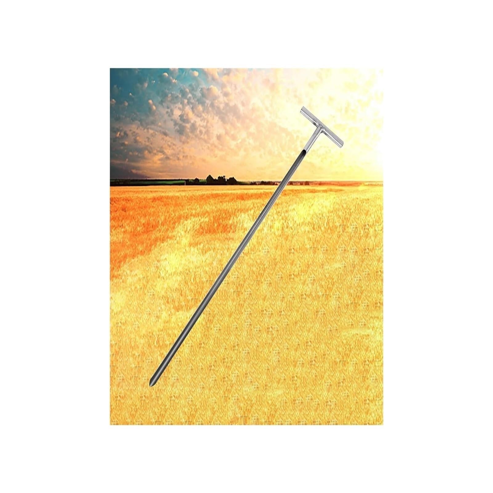 Kit di test del suolo - Sonda di campionamento del grano in acciaio inossidabile, strumento per un'analisi accurata del suolo per granuli e sacchi solidi