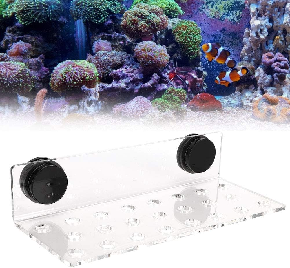 Zerodis Fish Acrylic Bracket Base, Aquarium Rack Bracket Transparent Bracket Holder Frag Plugs Rack Suction Cup(23Holes)