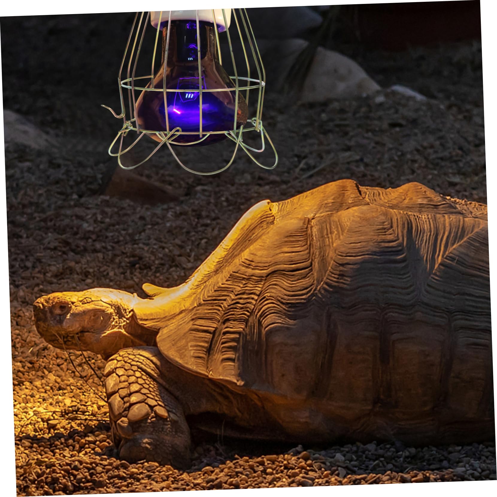HANABASS 5pezzi Lampshade Protettivo per Lampade Riscaldanti per Rettili Anti-scottatura per Serbatoi Rettili Design Innovativo per Circolazione e dei