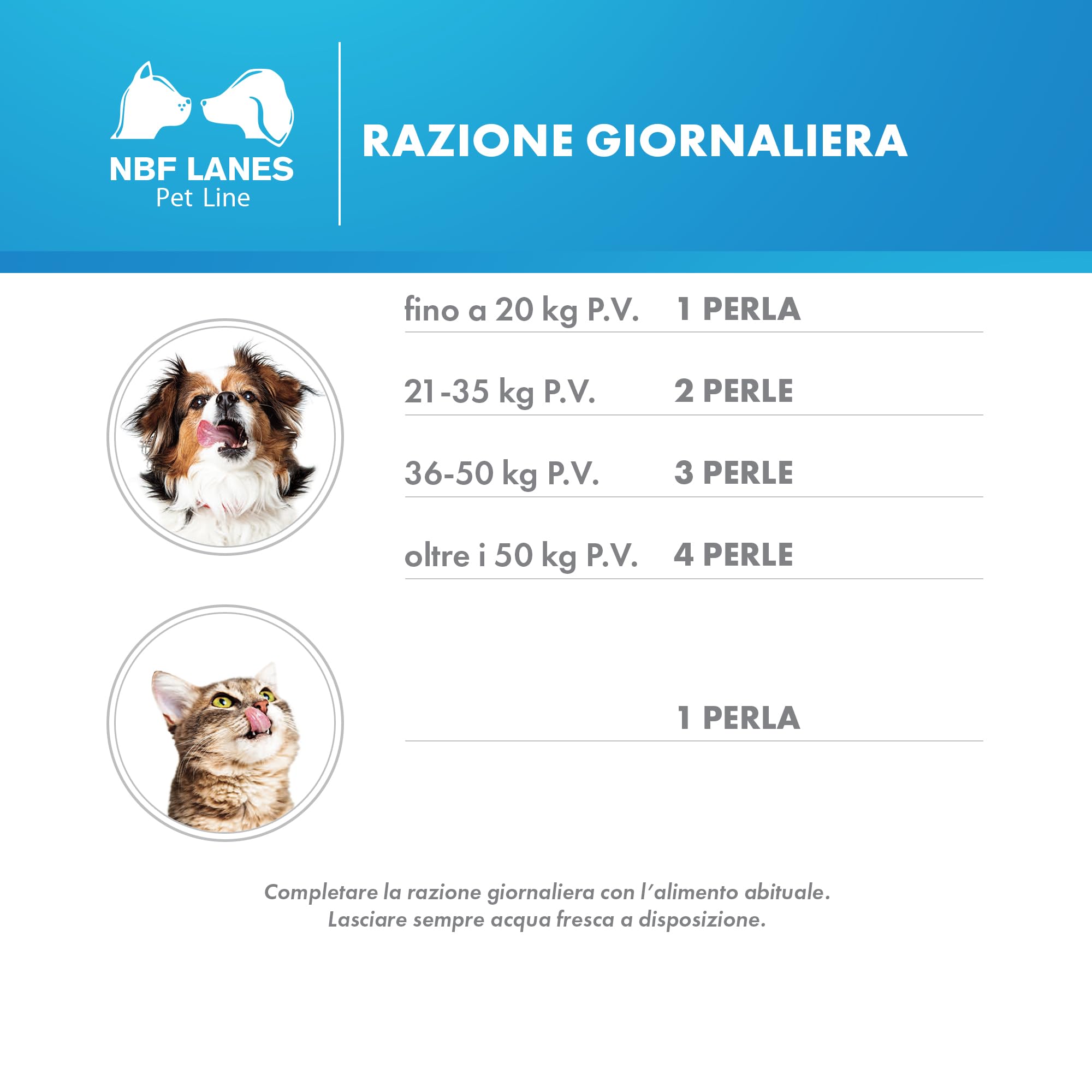 NBF Lanes | Perognidol FORTE Cane e Gatto, 40 perle, Favorisce la Normale Nocicezione e la Normale Funzione del Sistema Endocannabinoide