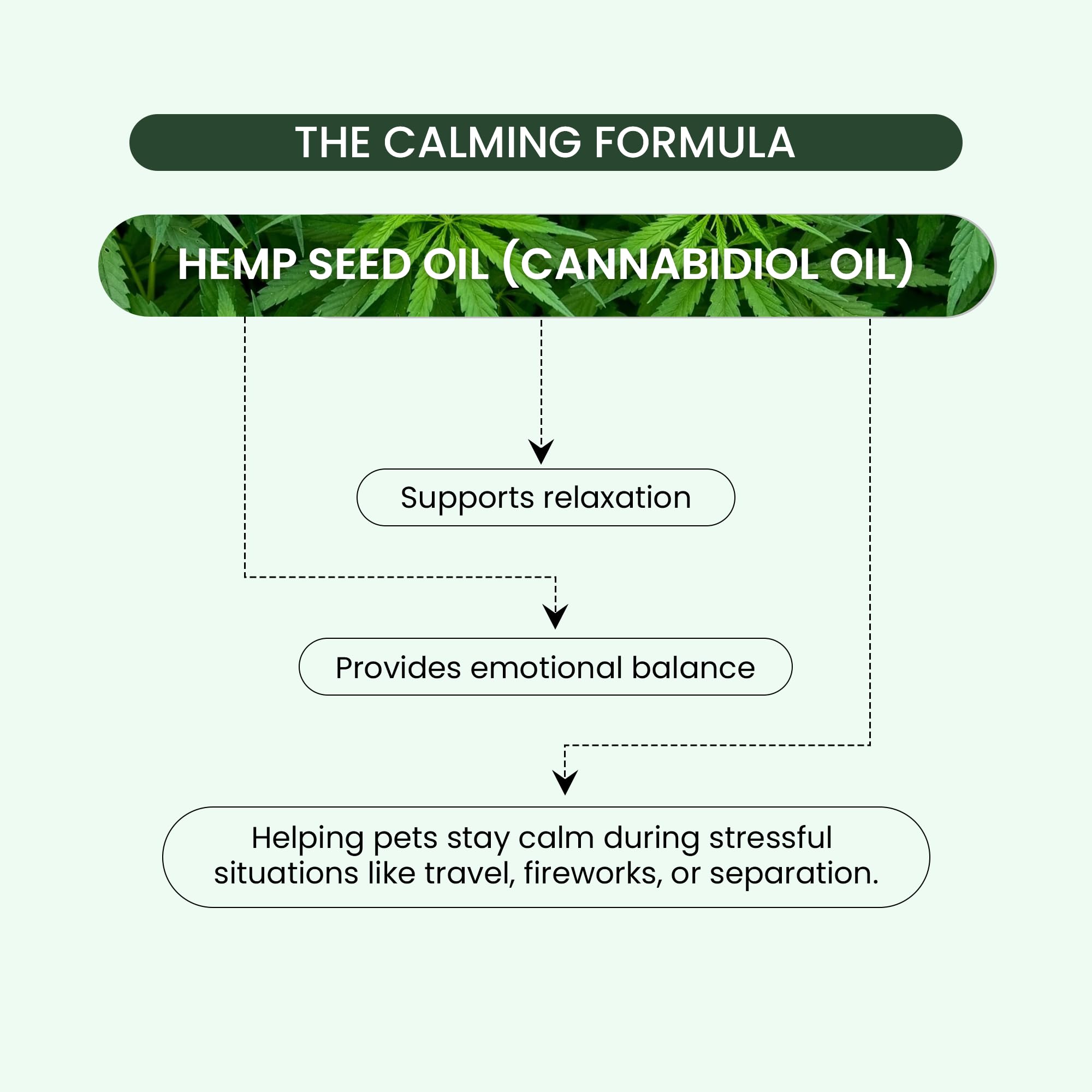 Vetonnix Hemp Seed Oil for Dogs & Cats | Dog & Cat Calming Spray | Reduces Anxiety, Prevents Skin Allergies, Stress Relief | CBD Oil for Dogs | 3X Absorption Than Oil, Strips | Oral Spray - 20 ml 2