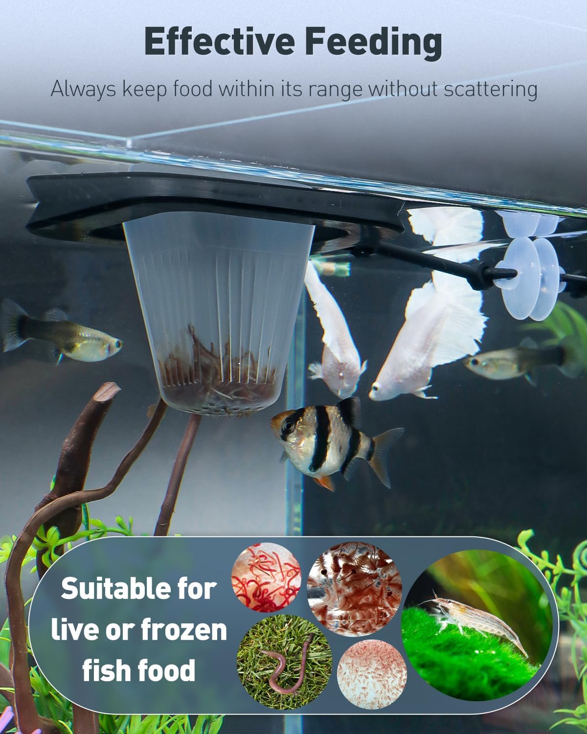 Pawfly Aquarium Bloodworm Feeder - Floating Red Worm Feeding Cup with Suction Cup, Multipurpose Fish Food Holder & Measuring Cup for Fish Tank image 2