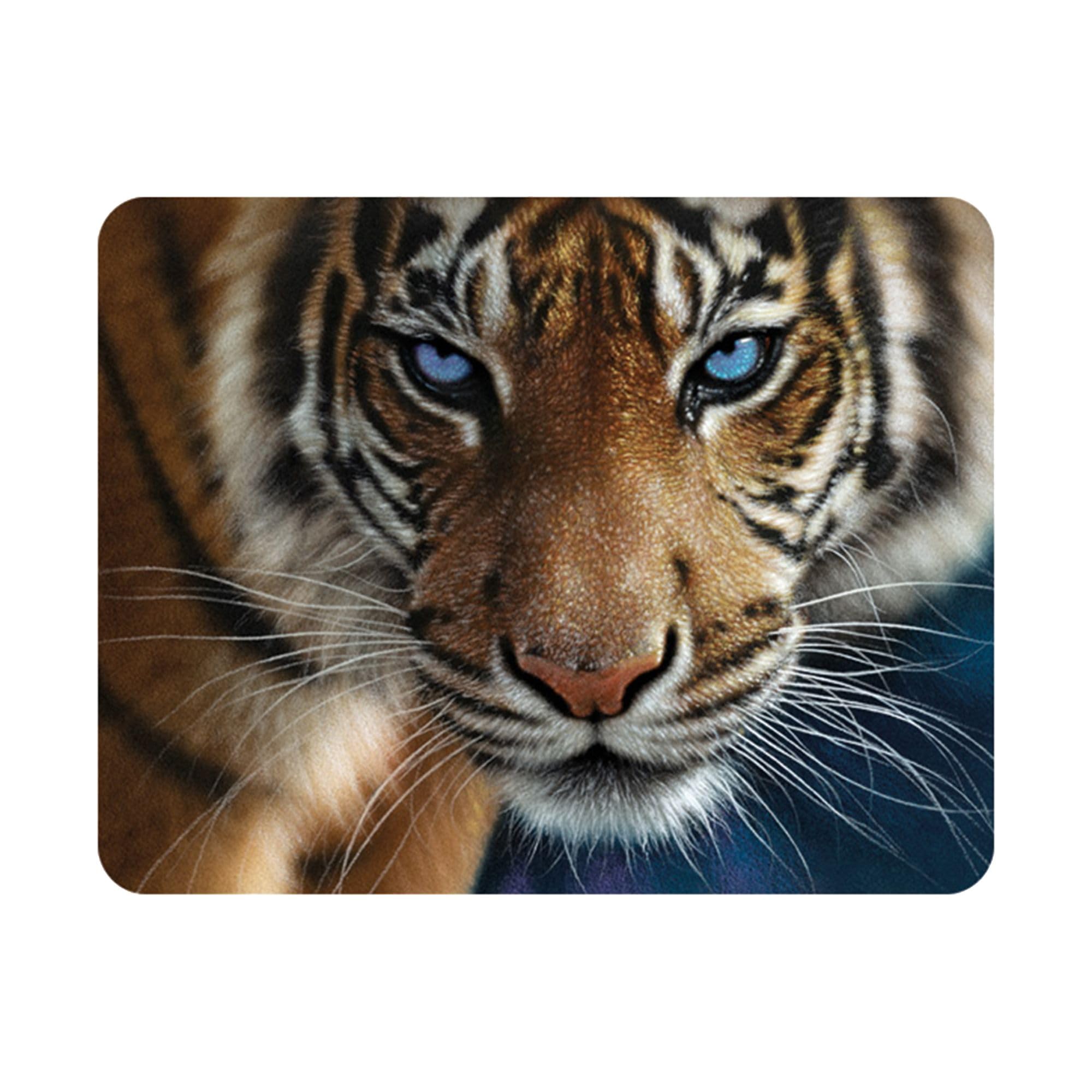 3D LiveLife Magnet - Blue Eyes from Deluxebase. Lenticular Animal Fridge Magnet. Decorative 3D Tiger Flat Magnets. Cute Small Magnets for Fridge, Dishwasher and Whiteboard.
