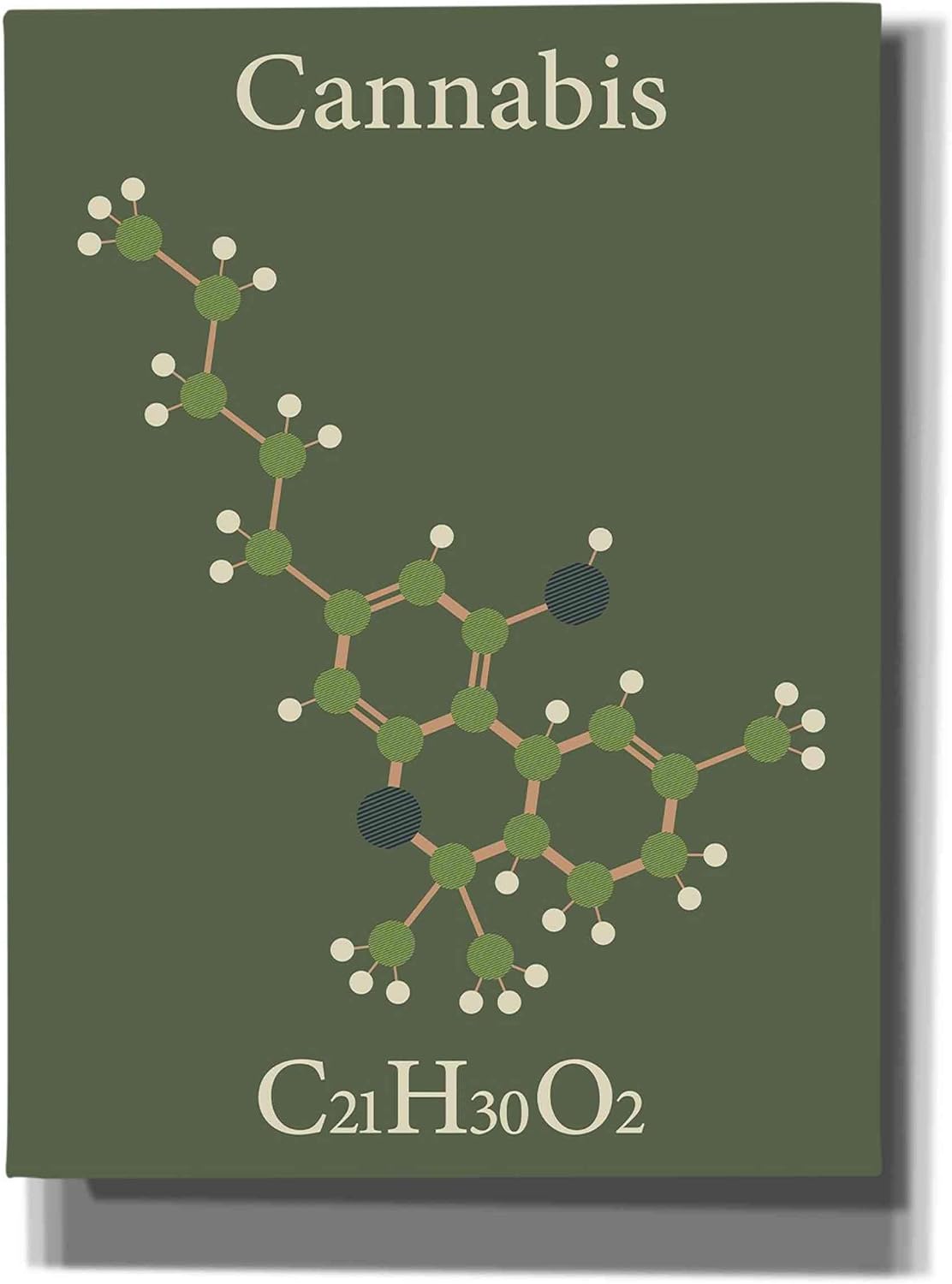 Epic Graffiti Cannabis Molecule Giclee Canvas Wall Art, 12" x 16", Green