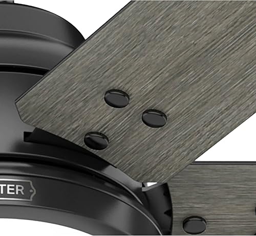 Miniatura 11 de Hunter Fan Company 51951 - Ventilador de techo por gravedad, negro mate, 14.12 x 60 x 60 pulgadas