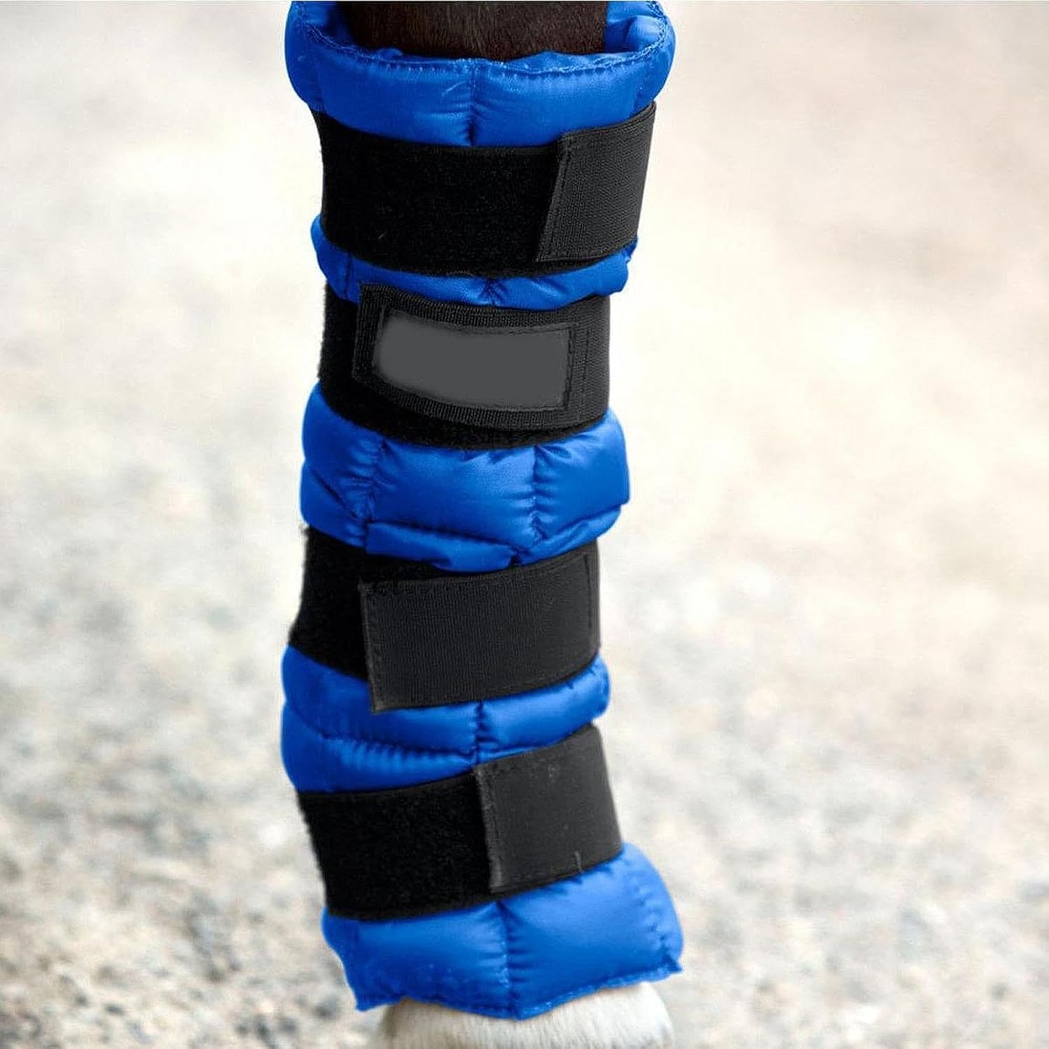 Equestrian Ice Pack Wrap for Horse Legs with Straps, Blue