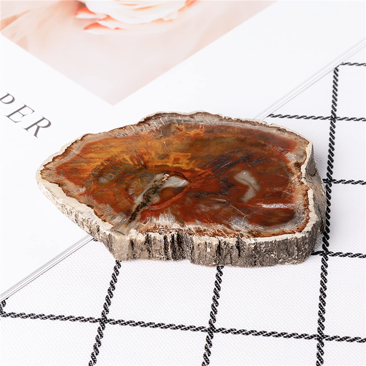 天然石プレート 化石入り大皿 天然石プレート 化石入り大皿