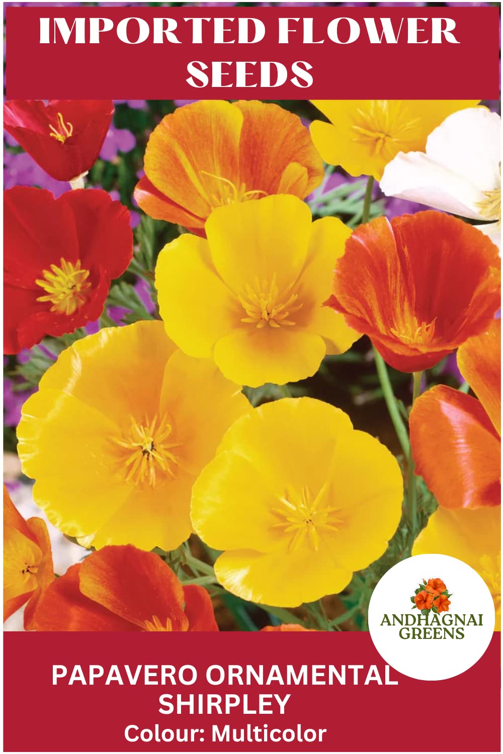 Greens Imported Flower Seed- Papavero Oranamental Shirpley (Shirley Poppy) Flower Seeds Pack Of 200 Seeds-image-9