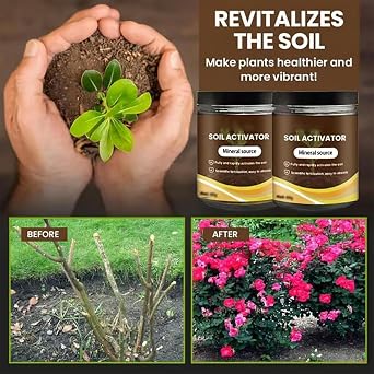 Soil Activator for Vegetables - Soil Conditioner & Softener,Natural Nutrients 60G Fertilizer for Houseplants Bean Fruit Flower Vegetable Evergreen Trees Garden Quick Start Planting