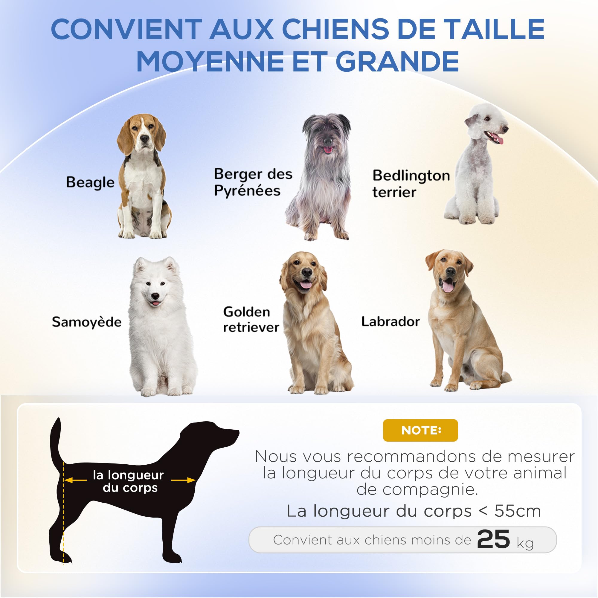 PawHut Canapé pour Chien lit surélevé pour Chien 101,5 x 62 x 34,5 cm Coussin déhoussable Pieds en Acier Surface en Velours lit pour Chien Blanc crème Noir