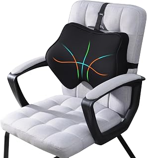 Lumbar Support Pillow for Office Chair Help Sit More Upright - Lumbar Support Pillow for Scientific Lower Back Support Leaves More Sit Space - Standard