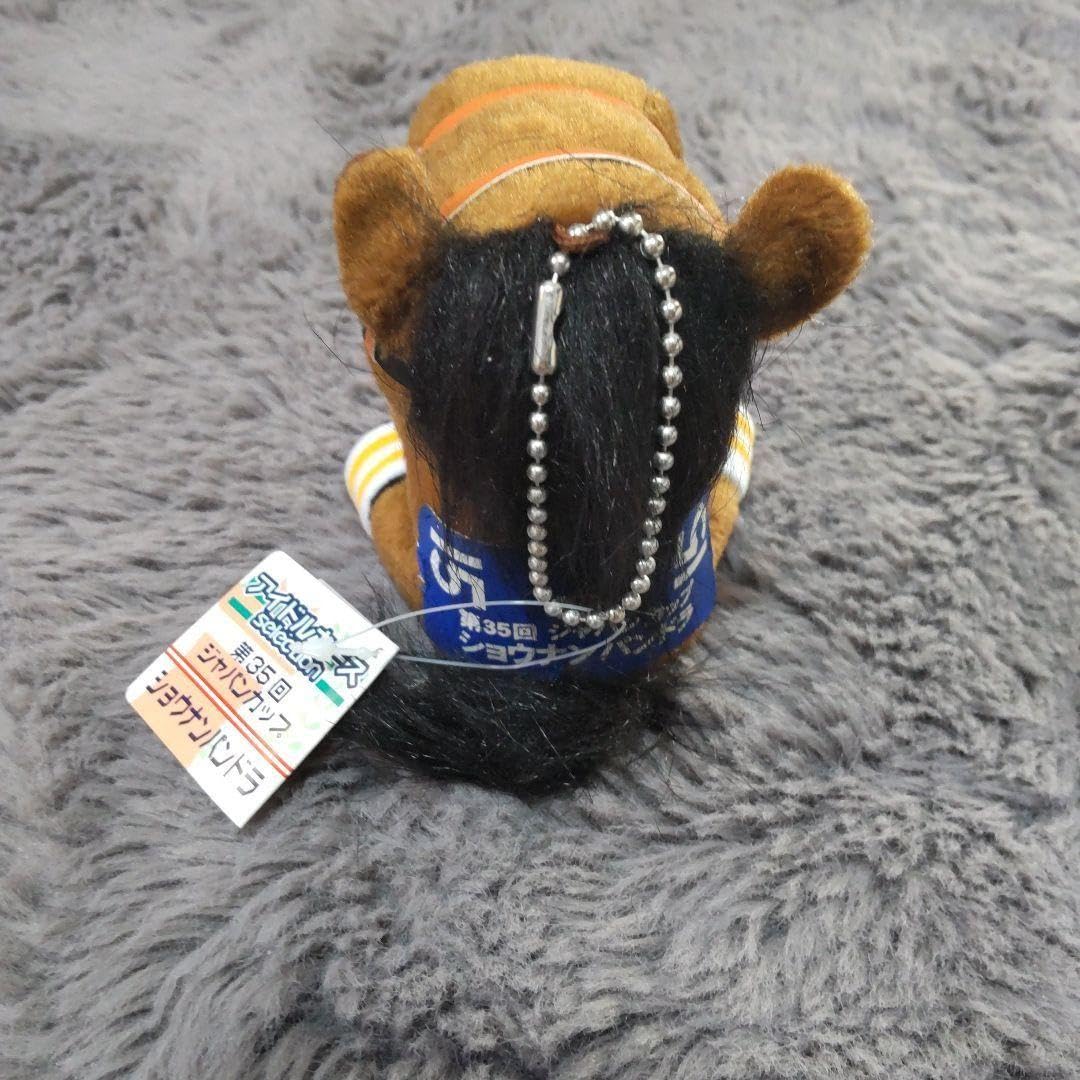 Amazon.co.jp: アイドルホース ショウナンパンドラ : おもちゃ