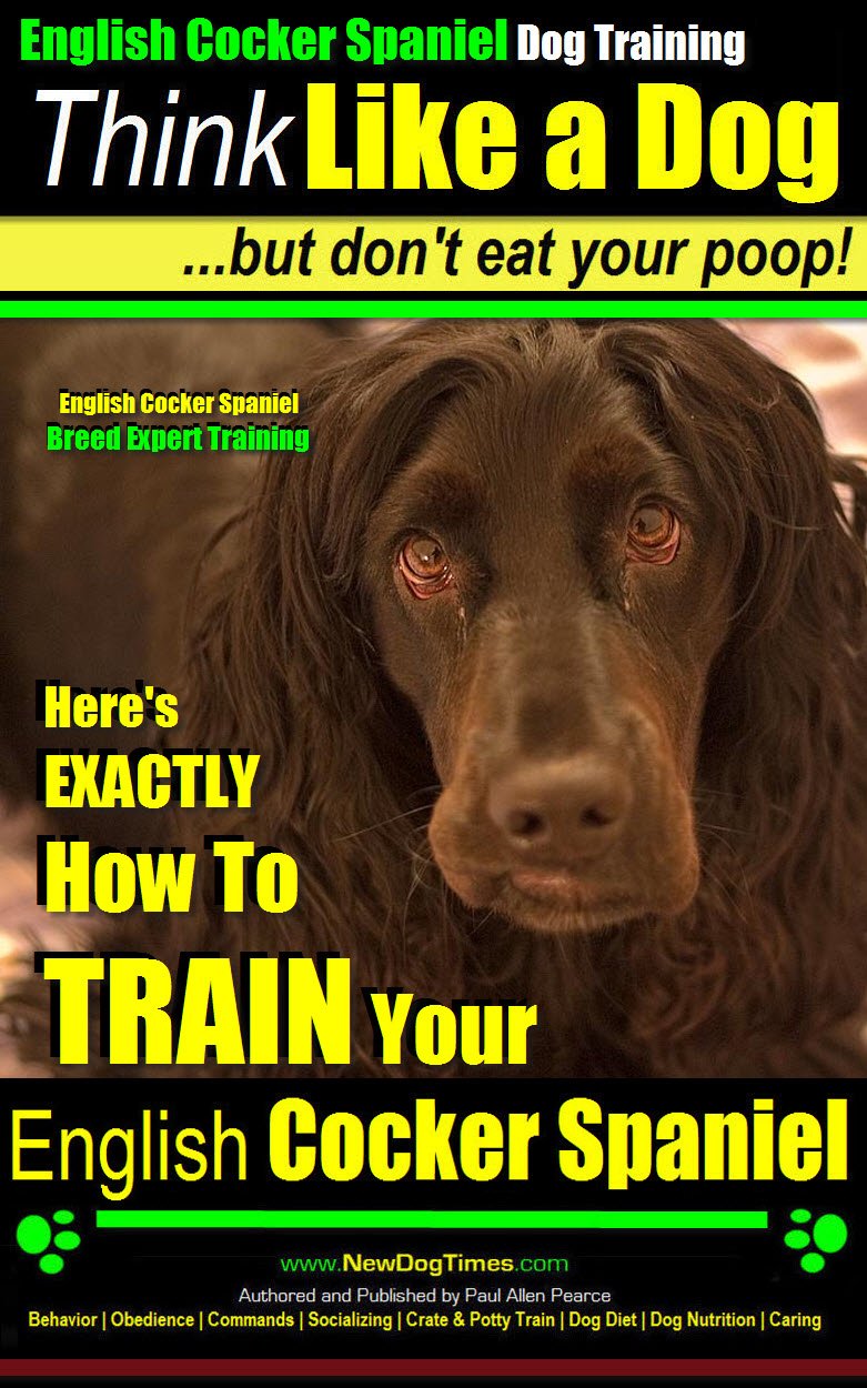 English Cocker Spaniel, English Cocker Spaniel Training AAA AKC: Think Like a Dog, But Don’t Eat Your Poop! | Breed Expert Training |: Here's EXACTLY How to Train Your English Cocker Spaniel 2 English Cocker Spaniel, English Cocker Spaniel Training AAA AKC: Think Like a Dog, But Don’t Eat Your Poop! | Breed Expert Training |: Here's EXACTLY How to Train Your English Cocker Spaniel