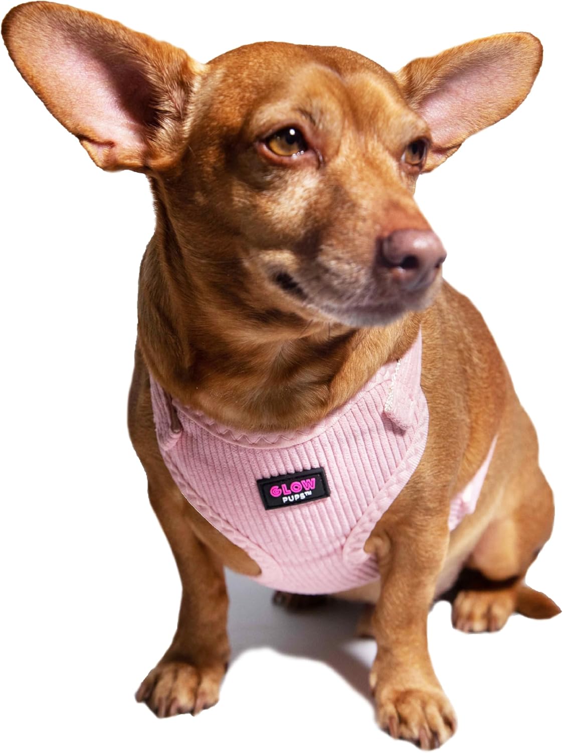 Glow Pups Dog Harness, Adjustable Corduroy Vest-Style Dog Harness with Gold Hardware, Breathable Mesh, Comfortable and Secure Fit, Light Pink, Large