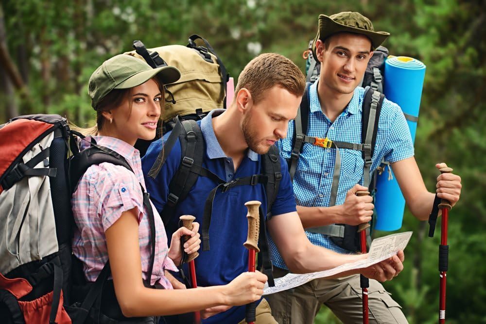 Super Bright Handheld Emergency Flashlights Image