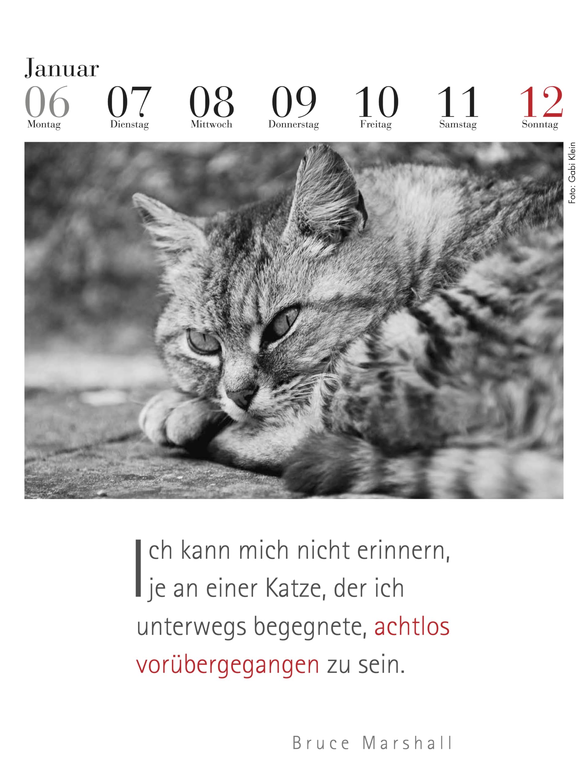 2023-2024 Heathen Lunisolar Calendar : r/NorsePaganism, image size:1920x2560