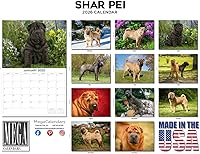 Vista 19 de Razas de Perros 2017