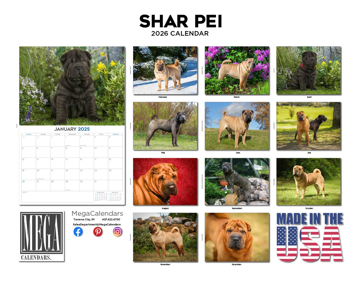 Calendario 2024 2025 Shar Pei – Calendario mensile da parete con razza canina – 30,5 x 45,7 cm aperto – carta spessa senza sbavature – regalo – calendario per insegnanti accademici per organizzare e