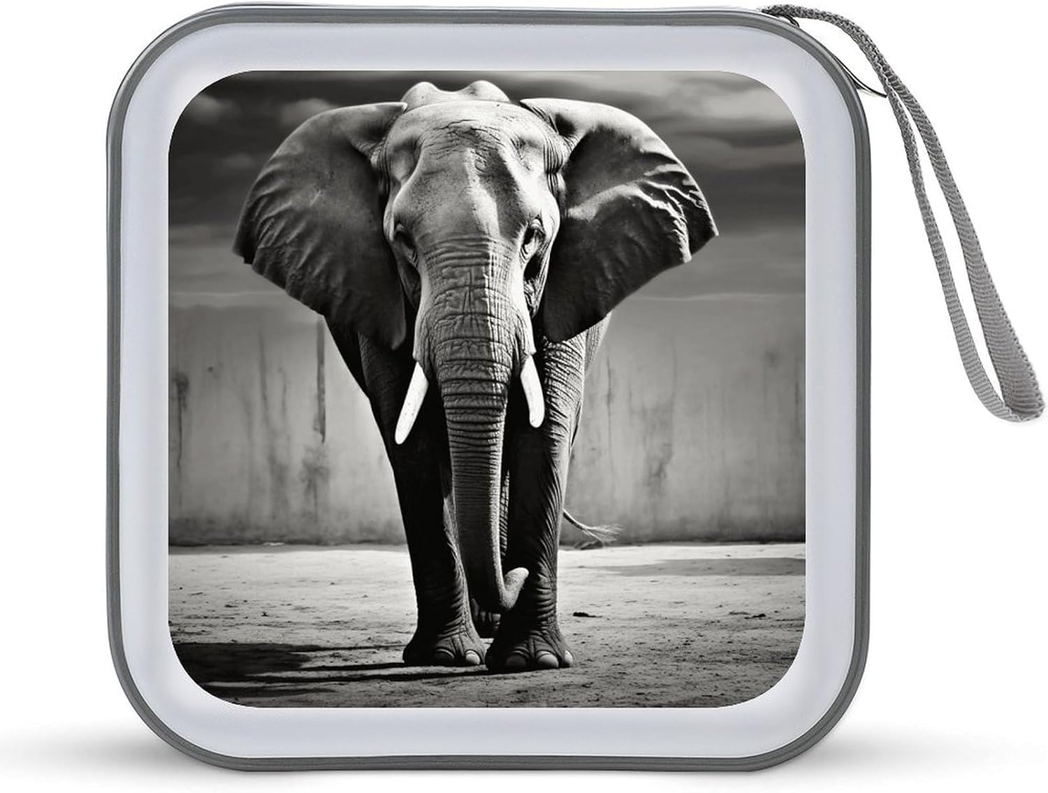 40 Capacity Hard Plastic CD DVD Disc Case Storage Binder Wallet