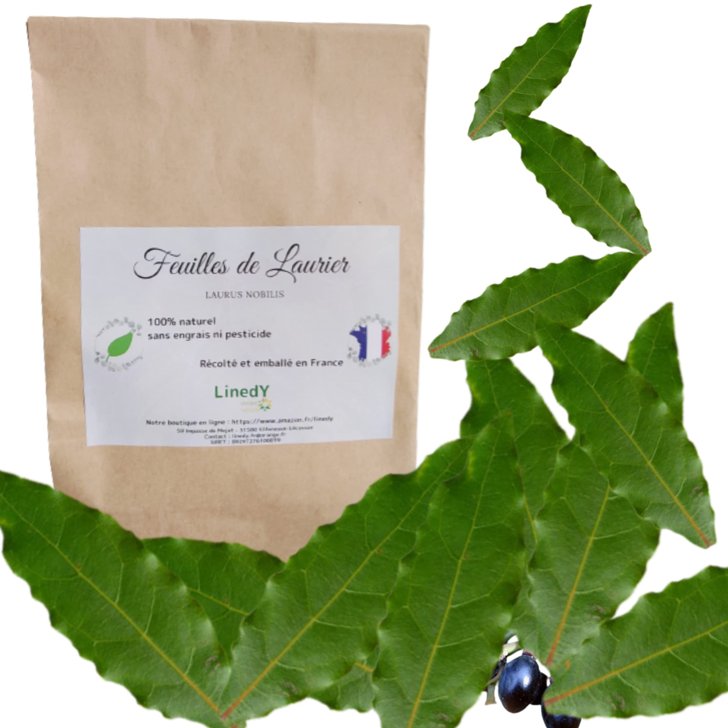 Feuilles de laurier FRAICHES entières, cueillies à la main à la commande