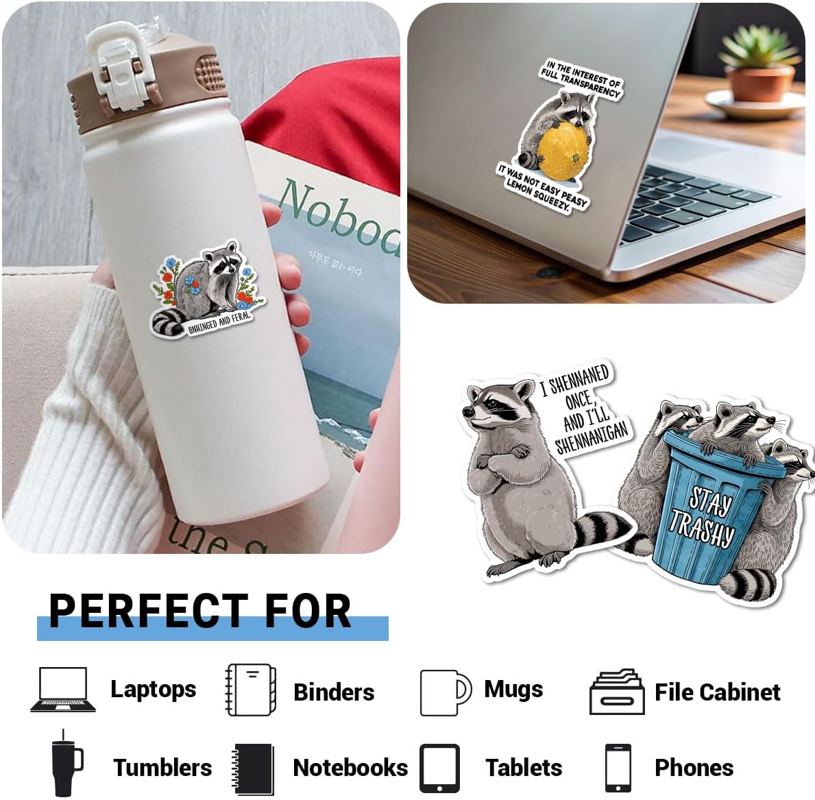 (12pcs-3in) Funny Raccoon Sticker Mischievous Trash Panda Stickers for Fans image 3
