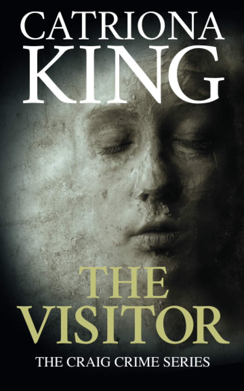 The Visitor (The Craig Crime Novels)