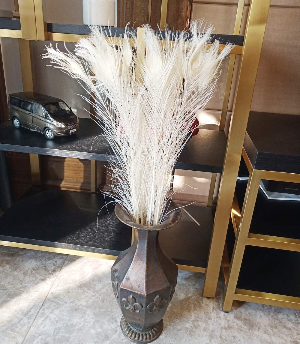 Lampu 30-35 inches Peacock Feathers 20 Pcs Long Pole Dyeing Decolorization Feather （Beige）