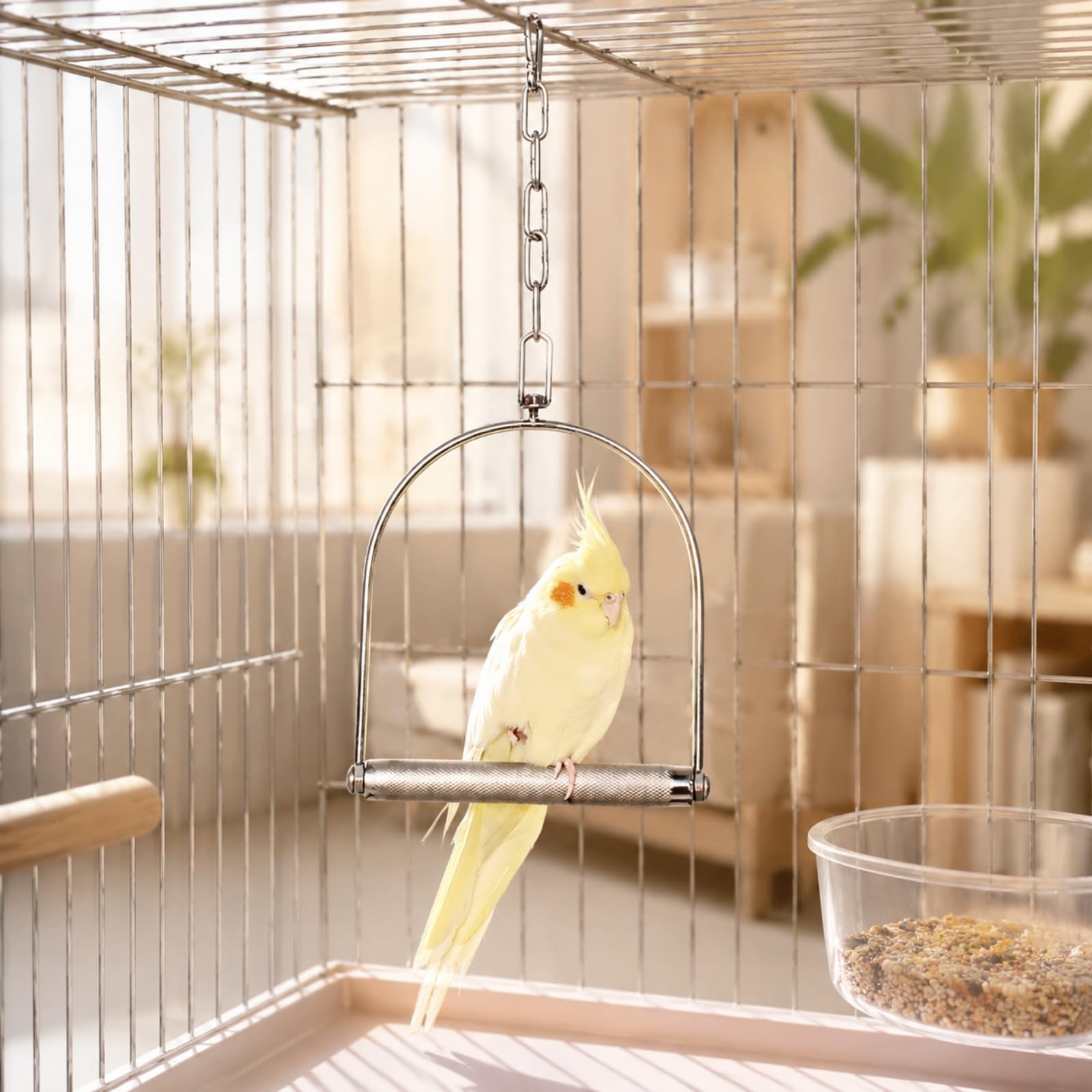 Colcolo Hängende Vogelschaukel aus Edelstahl Edelstahl-Vogelschaukel mit Kette Vogelspielzeug für Haustiervögel, Vogelkäfig, L