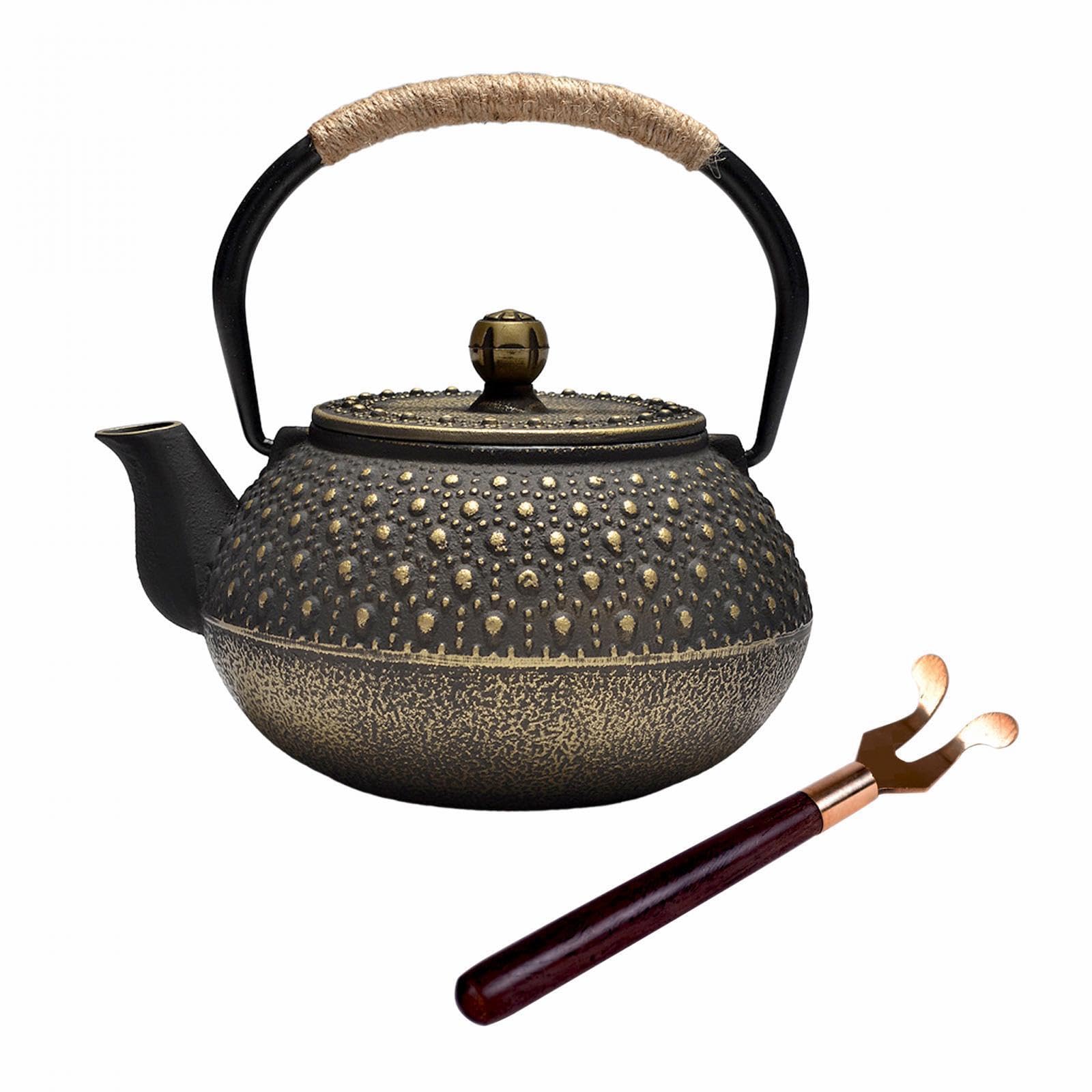 Tetera de hierro fundido, tetera japonesa para doméstico, exterior, camping, diseñada para preparar infusiones, hervidor de agua para cocina, hotel.
