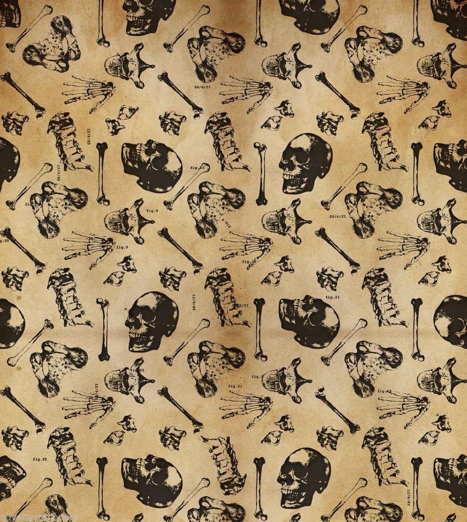 Bone Anatomy Archaeology medical gift wrap 2 sheets and 2 gift tags