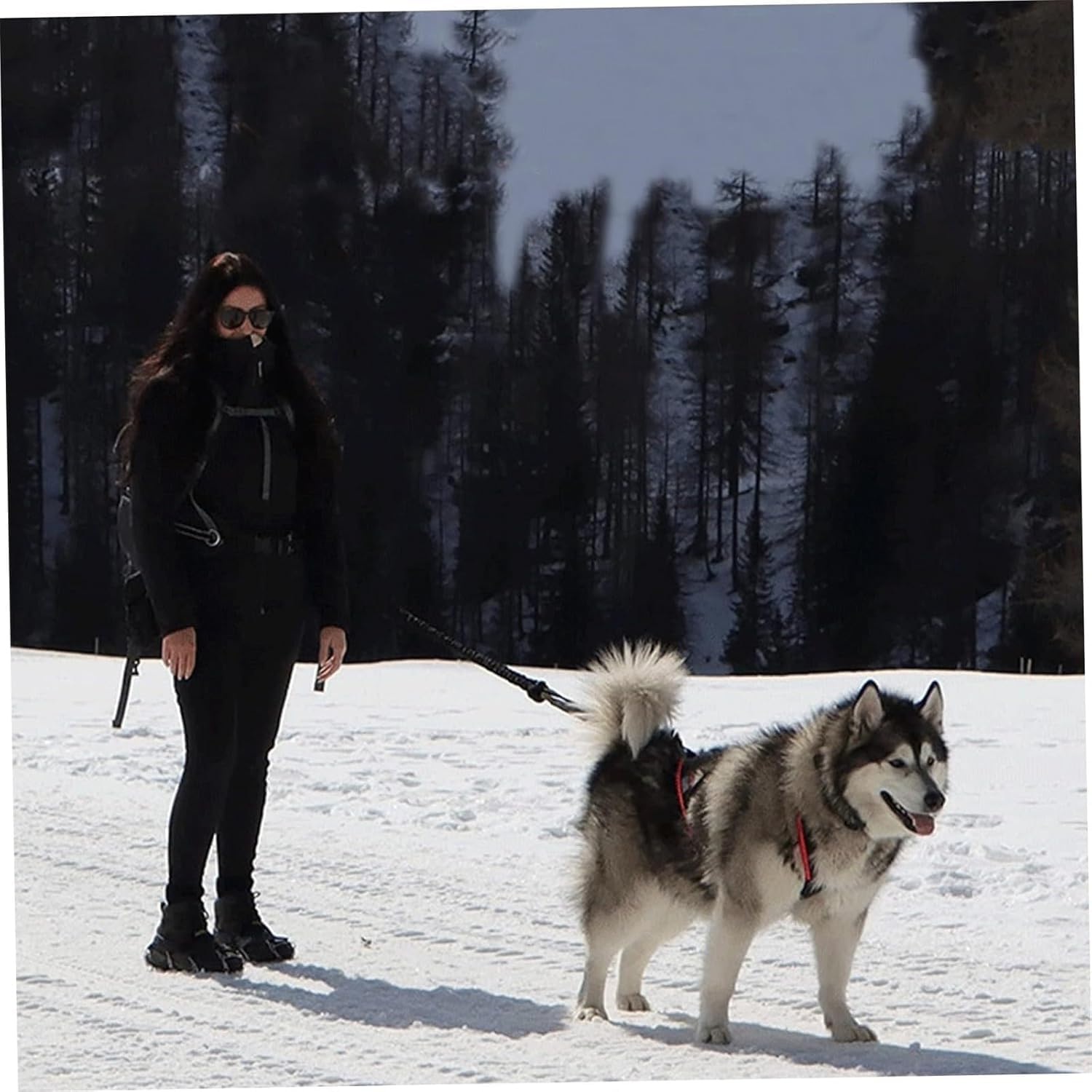 Harnais pour traîneau de chien X Back Mushing, cani-VTT, canicross, noir et rouge, taille M-XL (L)