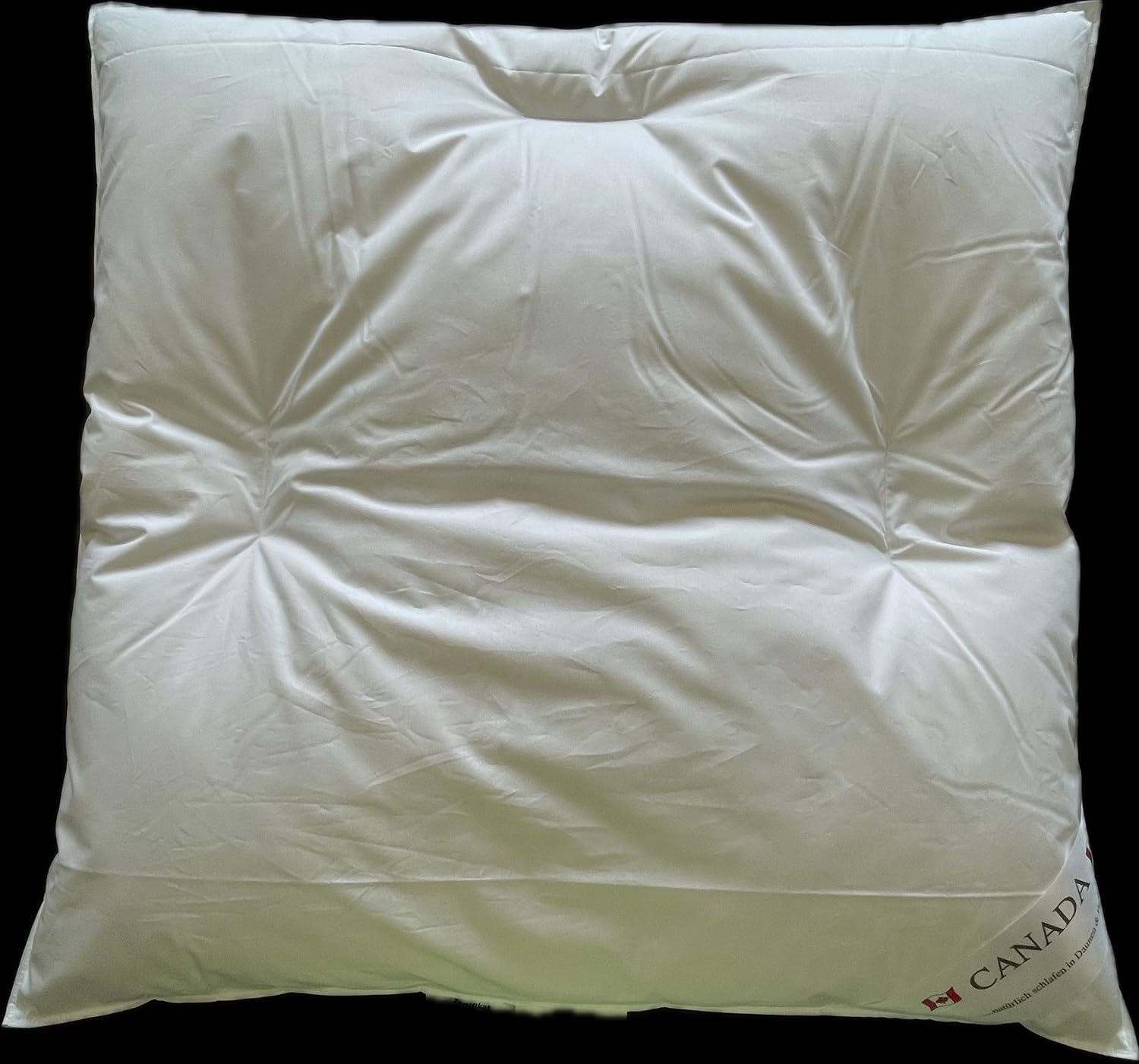 Bach's Betten Welt Mega Preis Canada Bauchschläferkissen Daunen- Federkissen 50/50 Soft Feeling 100% Natur DownPass NOMITE (80x80 cm)