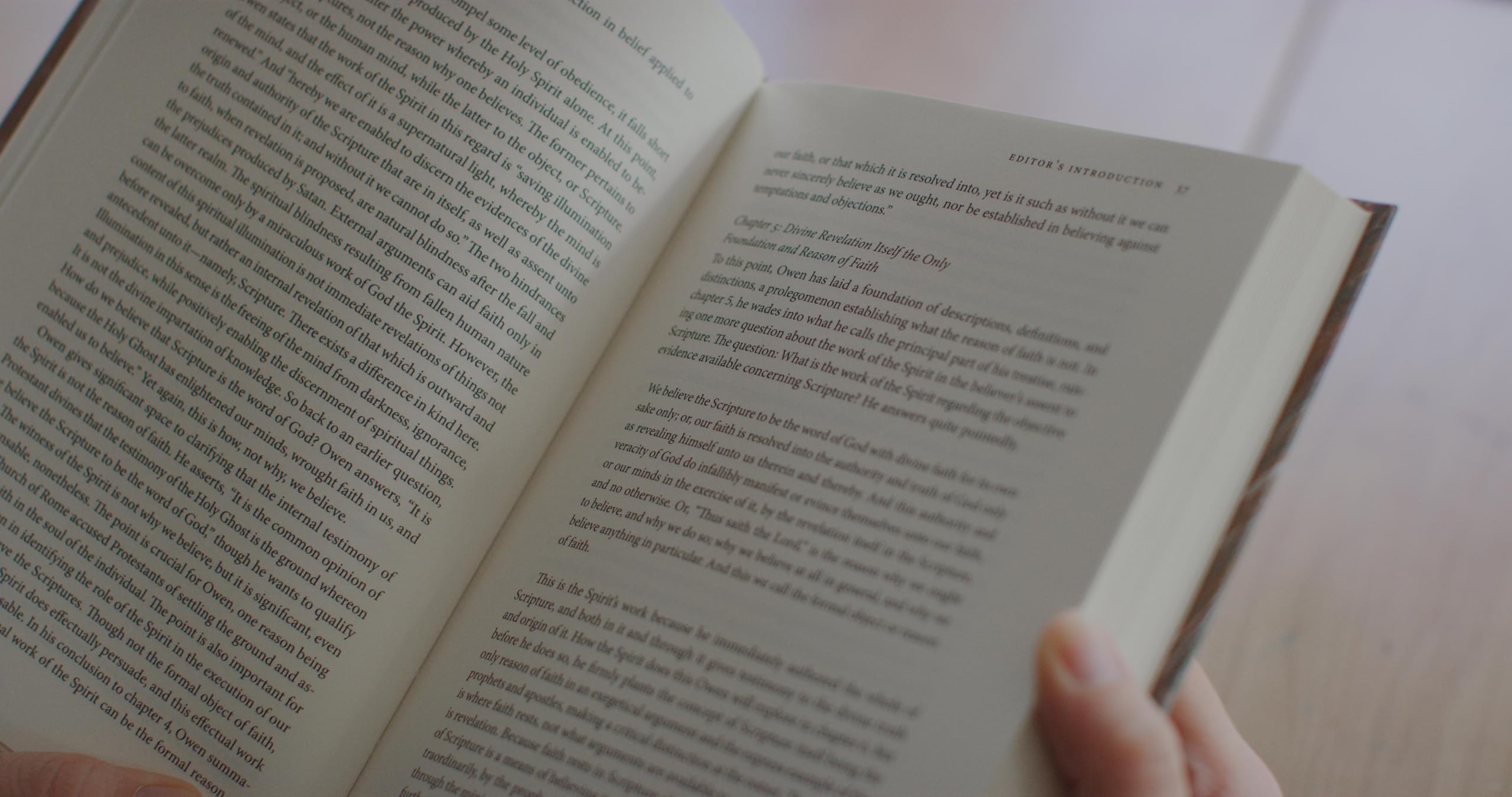 The Holy Spirit--The Helper (Volume 7) (The Complete Works of John Owen) - Image 3