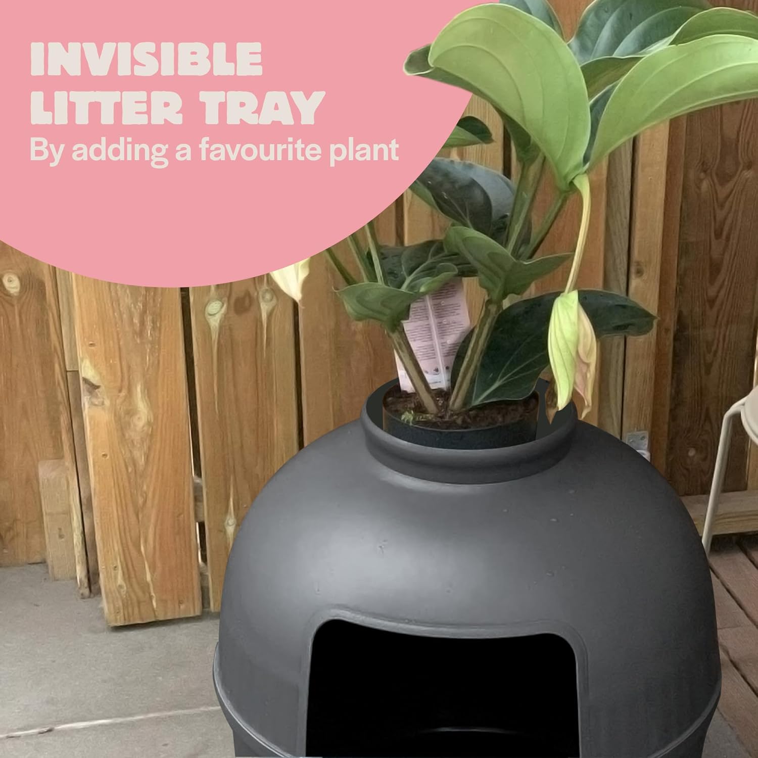 RHRQuality Cat Litter Box - Flower XXL – Hidden Cat Toilet – For Large Cats – With Large Entrance (51 cm) & Removable Top – Antracite 5 71joksBfKJL. AC SL1500