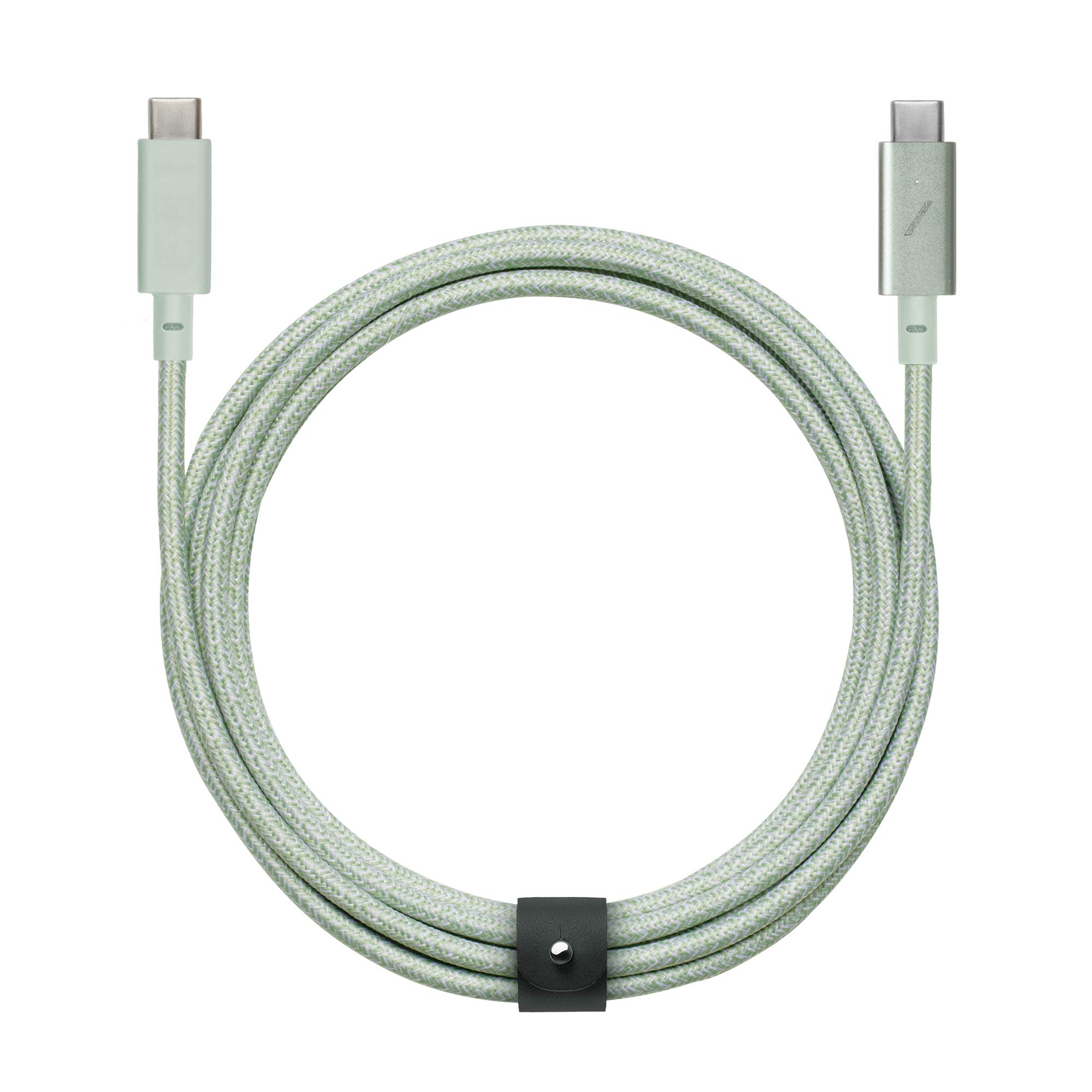 Native Union Type-C Belt Cable Pro - USB-C to USB-C - 8ft Ultra-Strong Charging Cable with Leather Strap Compatible with MacBook Pro 2017-2020, Microsoft Surface Go, Google Pixel 6/6 Pro (Sage)