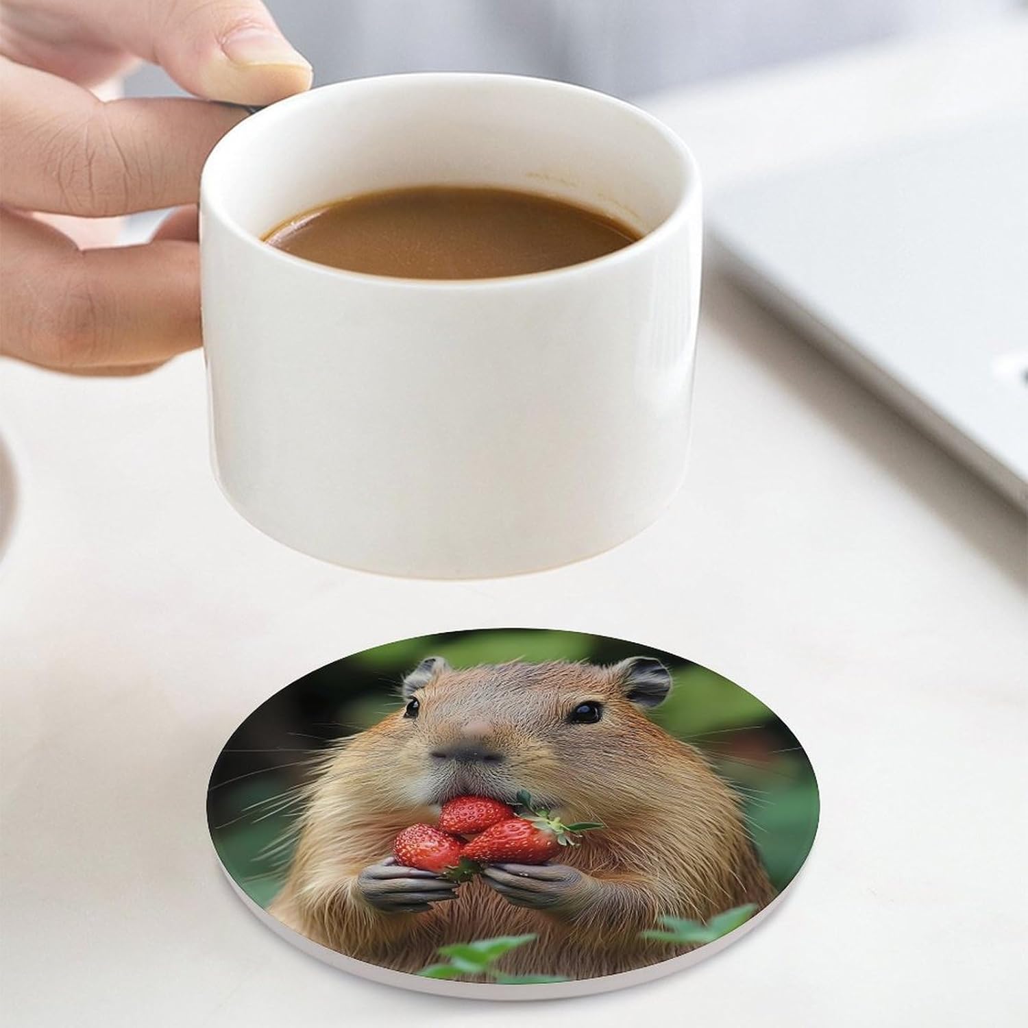 Capybara Eating Strawberry Funny Round Ceramic Coasters for Drink Absorbent Cup Holders Tabletop Protection