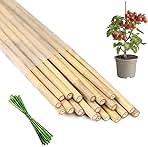 Plant Stakes 18inch, 20Pcs Natural Bamboo Sticks Garden Stakes, HAINANSTRY Plant Support Stakes for Indoor & Outdoor Plants, Orchid Tomato Vegetable Stakes for Garden